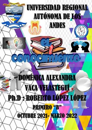 Realimentación Del Conocimiento