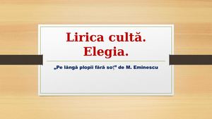 Elegia Pe Lângă Plopii Fără Soț