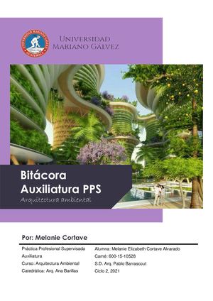 Bitácora Auxiliatura Pps Prueba