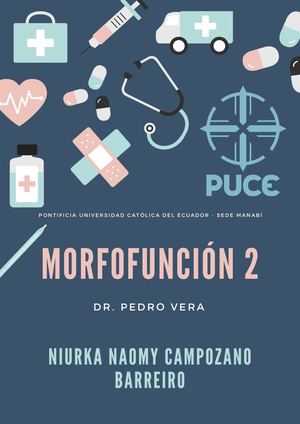 Morfofunción 2