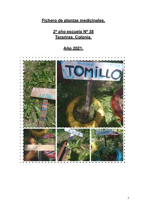 Fichero De Plantas Medicinales