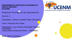 Proyecto De Psicologia Organizacional (2)