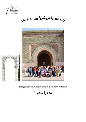 Plaquette Lvc Arabe Option