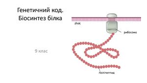 Генетичний код