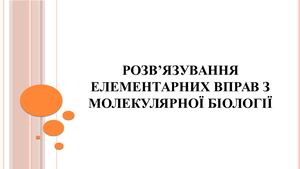 Практична робота №2