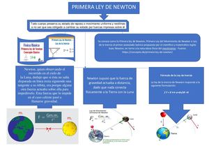 Organizador Primera Ley De Newton