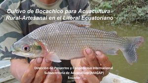 5 Cultivo De Peces Continentales
