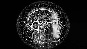 Procesos Cognoscitivos