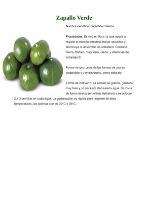 Zapallito