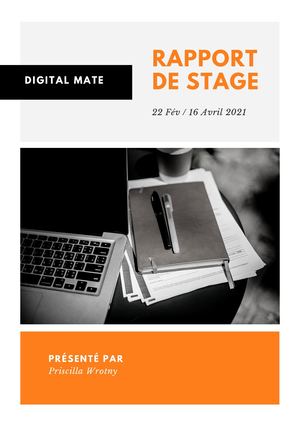 Rapport De Stage
