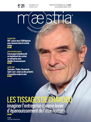 Maestria N°21 24x32 Bd