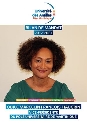 BILAN MANDATURE 2017-2022 ODILE MARCELIN FRANCOIS-HAUGRIN