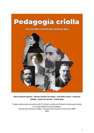 Pedagogía criolla: una mirada a través de nuestros ojos