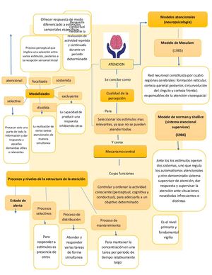 Mapa Conceptual Atención