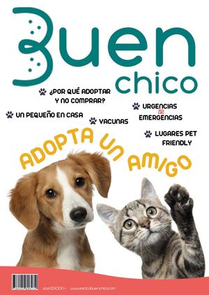 Buen Chico Revista