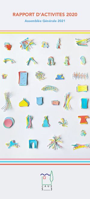 RAPPORT D'ACTIVITÉS 2020 - CAUE53