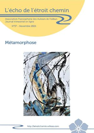 L'écho de L'étroit chemin N° 37 - 11 21