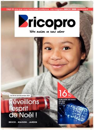 Bricopro: Réveillons l'esprit de noël