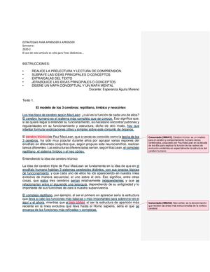 Mapa Conceptual Y Mental Epaa