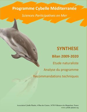 synthèse - Bilan 2009-2020 programme Cybelle Méditerranée