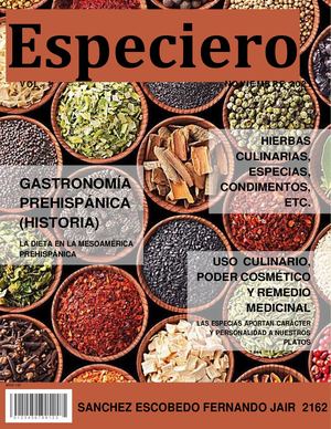 Revista