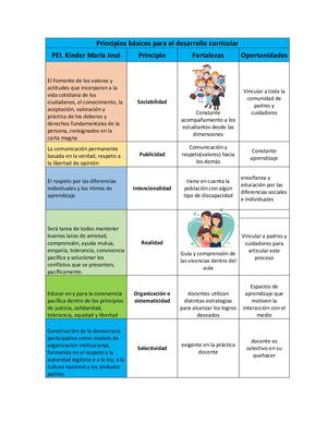 Principios Básicos Para El Desarrollo Curricular