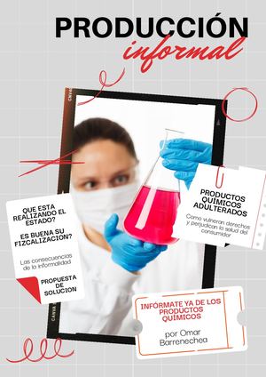 Revista digital producción informal en el Peru
