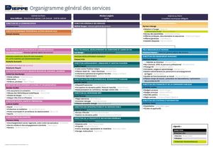 Organigramme 10-12-2021 VDD