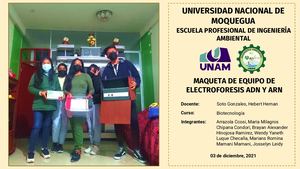 PPT - ELECTROFORESIS ADN Y ARN - BIOTECNOLOGÍA EXPO