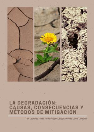 La Degradación Causas, Consecuencias Y Métodos De Mitigación (1)