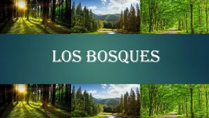 Los Bosques