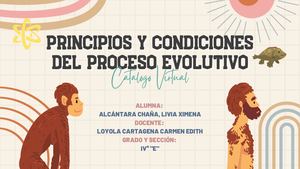 Principios Y Condiciones Del Proceso Evolutivo Livia Alcántara Ive