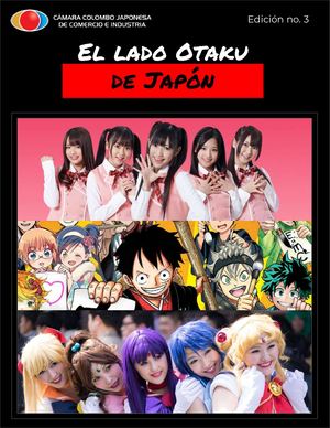 3 El Lado Otaku De Japón