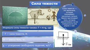 Сила тяжести