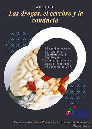 Proceso Formativo En Abordaje En Prevención De Consumo De Spa