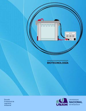 Informe Maqueta Electroforesis De Adn Y Arn (2)