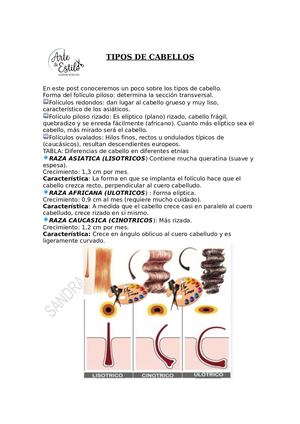 INFORMACION ACADEMICA