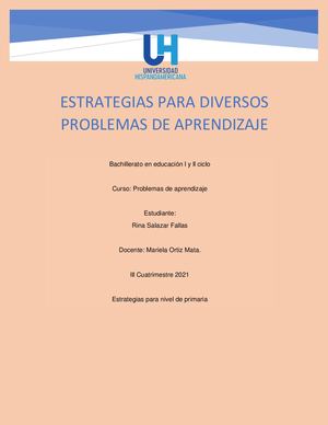 Album De Estrategias Rina Salazar Fallas