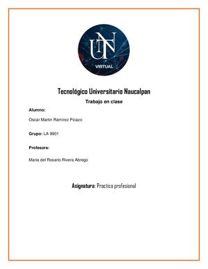 Protocolo De Practica Profesiona