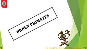 4 2 Eu Primates Cacb Fe