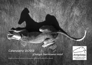 0176470 Calendario Amigos Galgo A3