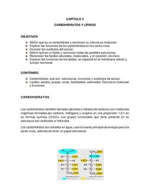 Clase De Carbohidratos Y Lípidos