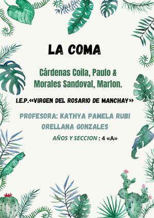 Tipos de Comas con los ejercicios resueltos