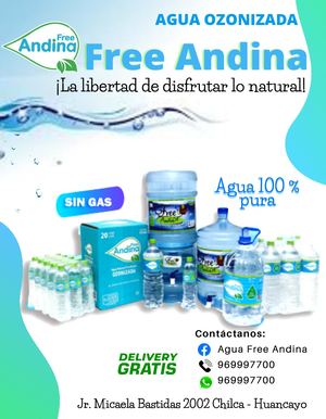 Free Andina SAC