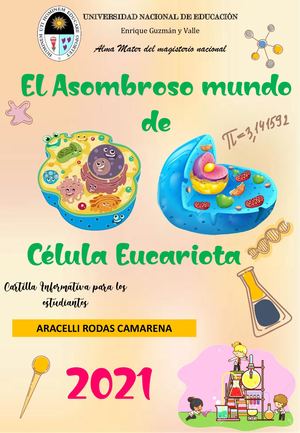 Cartilla De Celula Eucariota