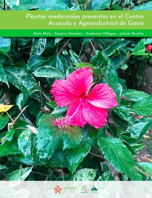 Libro Plantas Medicinales