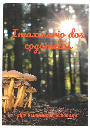 Imaxinario dos cogumelos