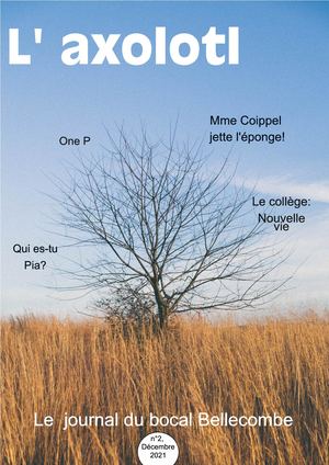 l'Axolotl 2, Décembre 2021