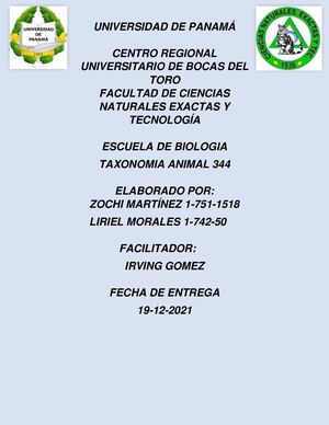 Poríferos de Bocas del Toro