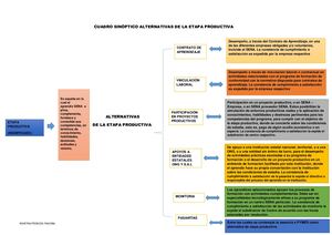 Cuadro Sinóptico Alternativas De La Etapa Productiva